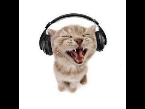 a silly goofy playlist for silly goofy people :3