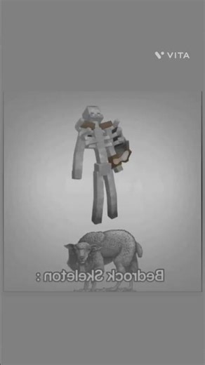 Badrock edition vs java edition #minecraft