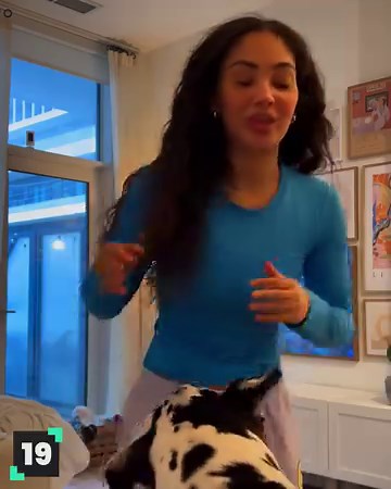 233K views · 9.1K reactions | Hilarious animal moments caught on camera! | Animal Antics | Facebook