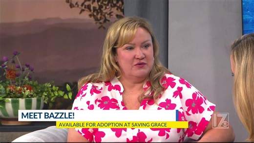 2.7K views · 49 reactions | Meet Bazzle! On this week’s Animal...