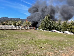 Horse Rescued In La Cresta Barn Fire