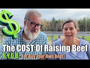 The COST of Raising Your Own BEEF | 2021 Big Family Homestead