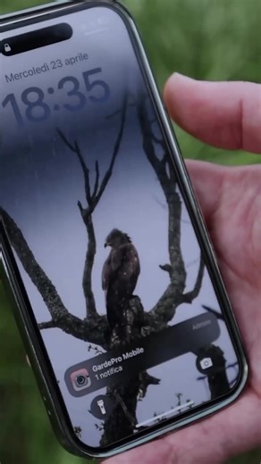 Secure Your Properties with Ease! 🦌 Monitor vacant lands, detect potential threats & receive remote alerts. Get TWO cellular cameras for $125. Free Shipping & 2 years warranty included! Scout Smarter, Not Harder this season! | GardePro