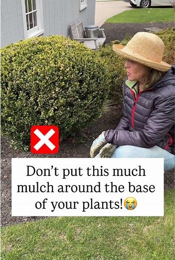 Proper Mulching for Healthier Plants | Garden Coaching