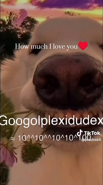 send to a frend/crush to say how much do you love her TikTok