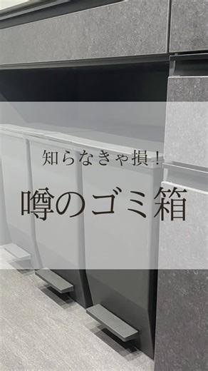 こんばんは、おはるです🌷 今回は、知る人ぞ知る噂のゴミ箱のご紹介♫ ※ゴミ箱はインスタのプロフィール▶︎楽天roomに載せています！ 我が家のゴミ箱は、 リスのH&H 45L 2つと35L 1つを 使っています 【メーカー】リス H&H カラー ●ダークグレー\t サイズ\t ●商品サイズ(約):W270×D425×H480mm 重量/容量\t ●容量:45L(45Lごみ袋対応) ●重量(約):1828g 35Lも45Lも蓋までの高さは同じで綺麗に揃うよ♫ SOLOWやKEYUKAは1つ4000円以上 形も色もほぼ一緒なのに... H&Hのゴミ箱は半額近く！？🥹👏 1つ1500円浮いたとしてもそれが3つ... 4500円♡ 我が家はその浮いたお金で、クチポールを買い足しました🍴✨ 私はカインズで2600円ほどで買いましたが、楽天見たら2100円＋送料で売ってある！ (他のホームセンターやドンキにもあるって言ってる人もいたよー) 買いに行って探して、持ち帰ってを考えたら 楽天で買った方がタイパ良いのかもー♫ 気になった方は是非チェックしてみてね！ 𓂃𓂃𓂃𓂃𓂃𓂃𓂃𓂃