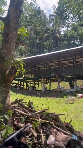 ATM installation for 14 sets of Mindanao RTL Chicken Package at Katipunan Zamboanga del Norte . | Mindanao RTL Chicken Package