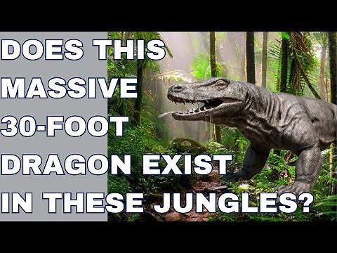 Artrellia: Papua New Guinea’s Legendary Giant Dragon