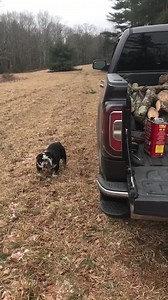 26K views · 2.4K reactions | Had a wood cutting partner today. | Anson Mount | Facebook