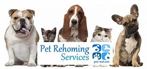 Expert Indiana Pet Rehoming Services | Find Your Pet A Loving Home