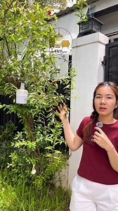 1.5M views · 35K reactions | 廊❓អត់ចង់ចំណាយលុយលើថ្លៃភ្លើងច្រើន? 廊❓អត់ចង់តខ្សែរភ្លើងរញ៉េរញ៉ៃ? 螺អំពូលភ្លើងនេះអាចជួយបាន Telegram : 070288834 #CapCut #DIY4NYture #fyp #Cambodia #light | DIY 4NYture | Facebook