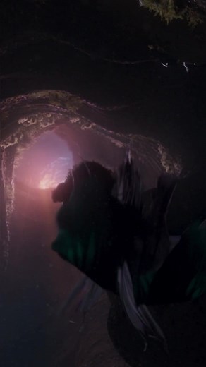 See what's happening in the OMNIMAX® Theater! Which one do you want to see? 👀 Tickets: https://www.slsc.org/explore/omnimax-theater/ | Saint Louis Science Center