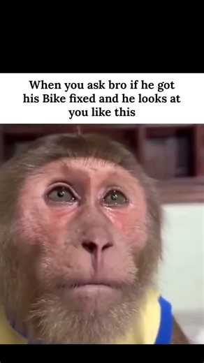 This is Me, I am Him