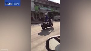 Stylish dog sporting pair of goggles takes a ride on a motorcycle