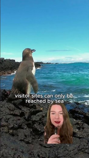 Why a Small Ship Cruise Is the Best Way to See the Galápagos Islands
