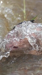 Baby test swimming... | 99TH