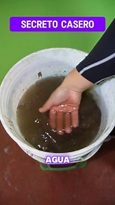 Cómo purificar agua turbia y volverla potable. Secreto para purificar agua. ¿Será verdad? | Altez Sera Verda