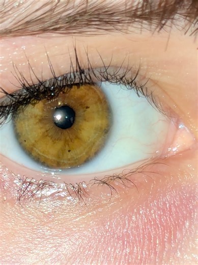 Front Camera vs Back Camera: The Ultimate Photography Battle