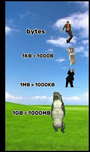 zetta bytes. yo kya hove