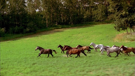 [Tuto] Le 5 avril, réglez votre télévision HD (avec adaptateur TNT HD) - Vidéo Dailymotion