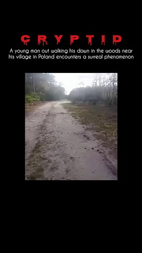 Encountering the Supernatural in Polish Woods