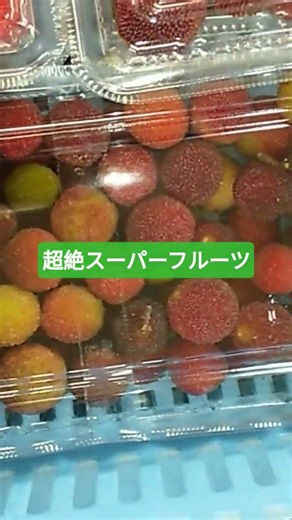 超絶スーパーフルーツを出荷してみた。夏バテ、疲労回復夏風邪、ビタミンミネラル大量に含む。塩水に浸け置き洗い。美味しい。道の駅。雨の日まとめ買い