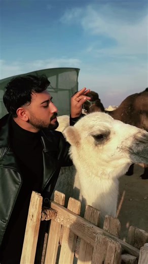 ALİ ALUCA🇹🇷͜͡✯ (@ali_aluca) adlı kullanıcının orijinal ses - ALİ ALUCA🇹🇷͜͡✯ ile oluşturduğu videoları