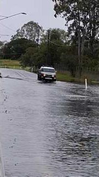 Risky Business SEQ Flooding #shorts #news #brisbane