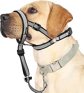 Amazon.com : BARKLESS Reflective Head Collar, No Pull Collar for Large Dogs, Anti-Pull Muzzle Leash for Large Sized Breed, Adjustable Soft Dog Halter, Nose Leash for Easy Control on Walks : Pet Supplies