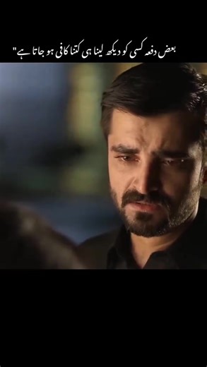 Love Society on TikTok