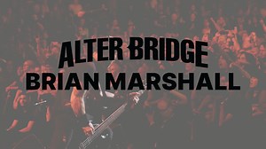 Brian Marshall bass rig rundown 🔥🤘!! You can check out the complete SBL Bass Tales episode by clicking the link in my bio. | ScottsBassLessons.com