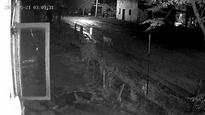 4.5K views | Ricardo Mejia Berdeja on Reels | Facebook