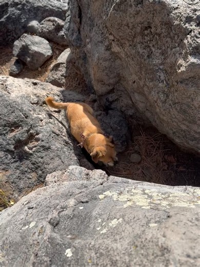 Minka Kelly on Instagram: "Mostly work and some play. Enchanted by the land of enchantment 🍂"