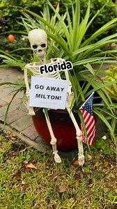 Go Away Milton! We don’t need another hurricane in Florida 🌀 Milton is now up to 150mph and it doesn’t look like it’s done strengthening yet. At least it will weaken some before landfall but it will still be a major hurricane. Heed your local officials warnings and take precautions now. We have Monday and Tuesday to prepare. #florida #flwx #weather #forecast #milton #hurricane #hurricanemilton #southfl #centralfl #gulfcoast #floridalife #meteorologist | James Wieland - Surfin' Weatherman