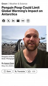 1.6K views · 176 reactions | Penguin poop could be helping with climate change. | Matty Jordan Antarctica | Facebook