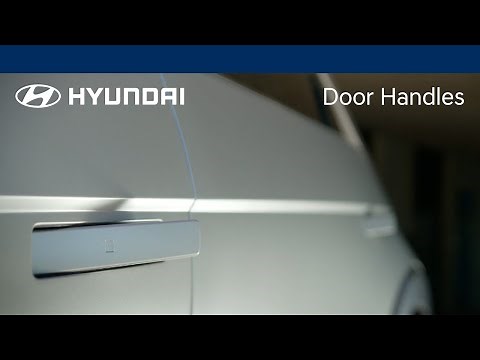 Door Handles | IONIQ | Hyundai