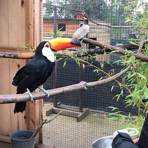 2.3K views · 79 reactions | It’s hard to walk, chew gum, remember to...