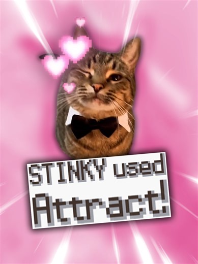 The Stinky Cat Pokemon used Attract! 💕🐱 original video by @Black Best Cat Dad #pokemon #pokemonmemes #pokemonedit #catmemes #funnycats (Diamond and Pearl HP bars sprites ripped by Space Guard, Textbox sprites ripped by Lakilester 86)