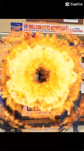 Our Fix West Texas Everyday Adoption Center was one of the top 4 locations in the United States during National Adoption Week!! A big thank you to our staff, fosters, adopters, PetSmart staff and PetSmart Charities Partners!! | Fix West Texas