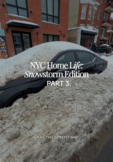 Understanding the NYC Snowplow System During Snowstorms