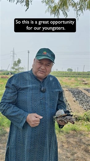 Peepal Baba on Instagram: "Waste does not disappear when it is thrown away. It moves from one place to another, polluting farms and water bodies. With the right approach, it can be collected, recycled and turned into something useful.🌱 [Peepal Baba, Peepal Baba Says, recycling, plastic waste, waste management, environment, cleanliness, civic sense, recyclers, responsibility, agriculture, afforestation, urban forestry, Peepal Baba Foundation]"