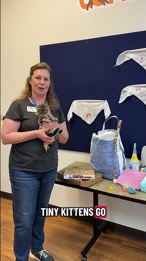 How Your Gift Equips a Foster Home for Kitten Season
