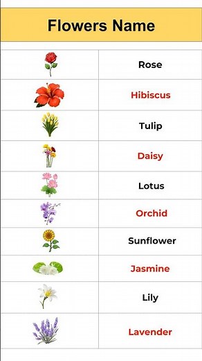 10 Beautiful Flowers 🌸 (Visual Vocabulary Guide)