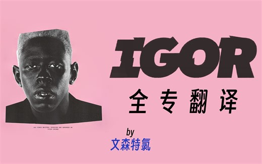 【中字/含注解】IGOR 全专翻译│Tyler, the Creator│精译巨制