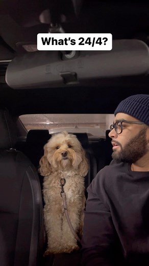 Luna The Mini Cockapoo | The way she thinks about it in her head first… 😳 #dogs #cockapoo #smartdog | Instagram