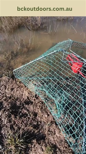 Based on Feeback, PreOrdering is now open. Expected shipping week is 22nd September. In time for the long weekend. Use discount code ‘preorder’ to save when ordering. Happy Yabbying and thanks for your support! #preorder #yabbies #campinggear #fiahinggear #premium | BCK Outdoors