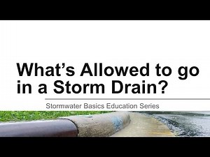What's Allowed to go in a Storm Drain?