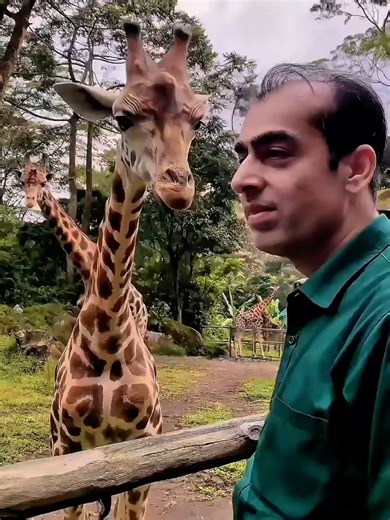 Muhammad Qasim: Dreams and Tauhid Explained