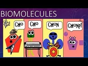 biomolecules part1 in Tamil for class 11