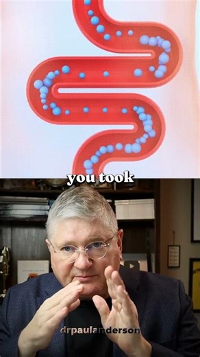 Amino Acid Absorption 101: Transporters Explained